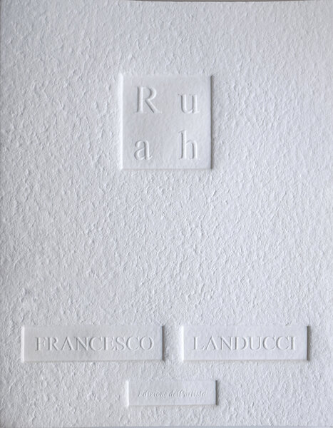 100X100 Libro d’artista Francesco Landucci